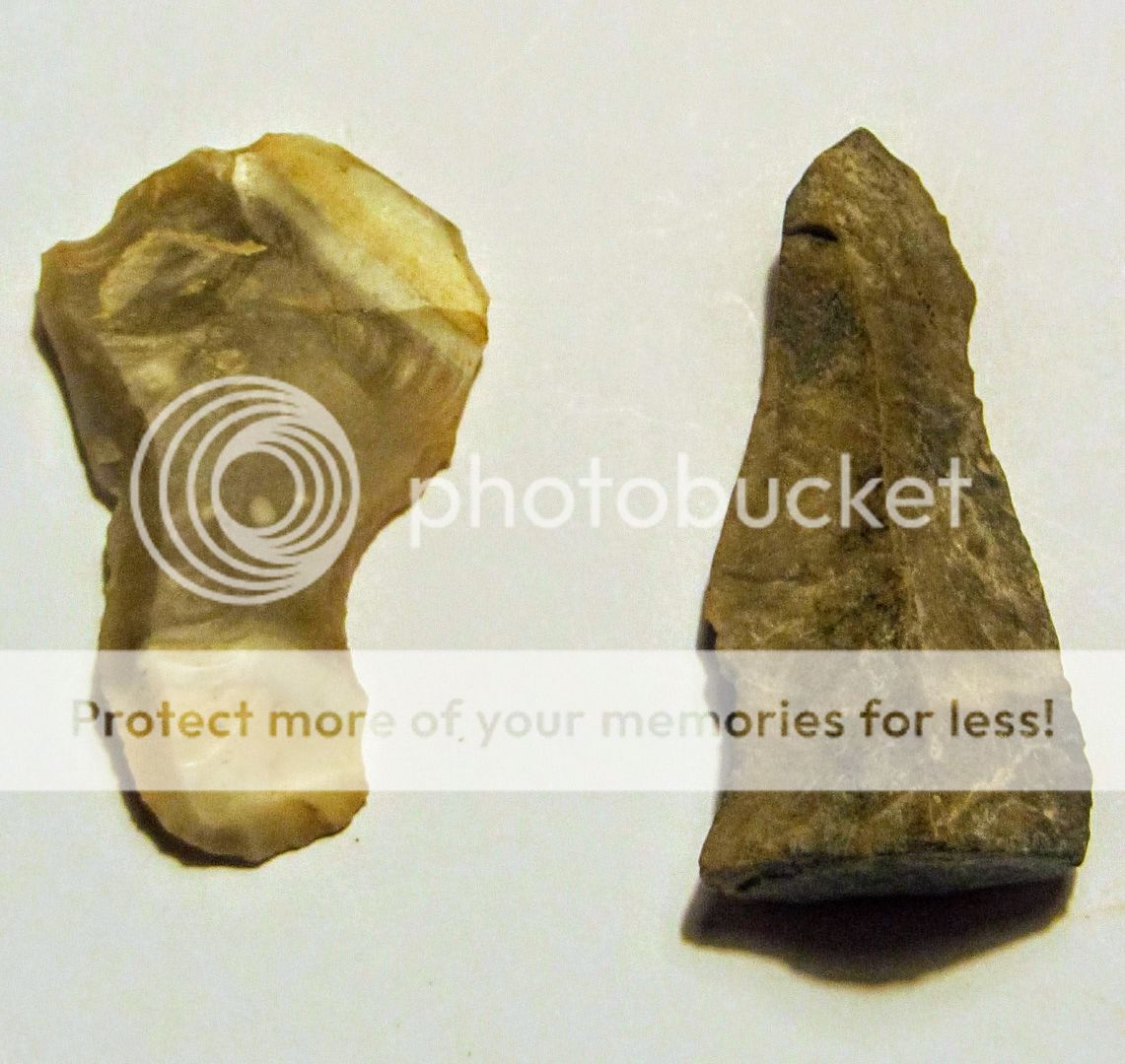 70401d51-6c93-4fcc-a388-eea1840726ad-original.jpg?width=1920&height=1080&fit=bounds