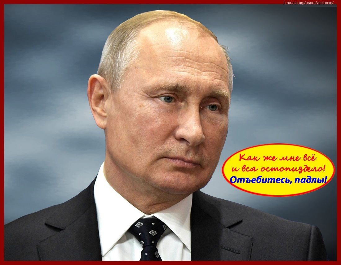 Putin, President of Russia, Путин 11-02-2018(красная рамка)