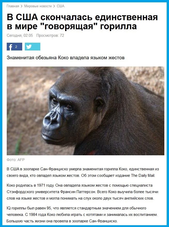 Koko the gorilla, 2015-ый год, Коко, горилла, обезьяны, животные,-2 (2)