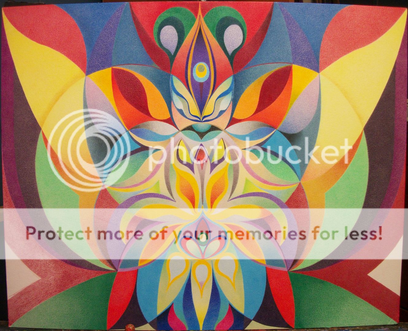 b6b704fd-b2ee-43b9-9a8e-b766ff969ed7-ori