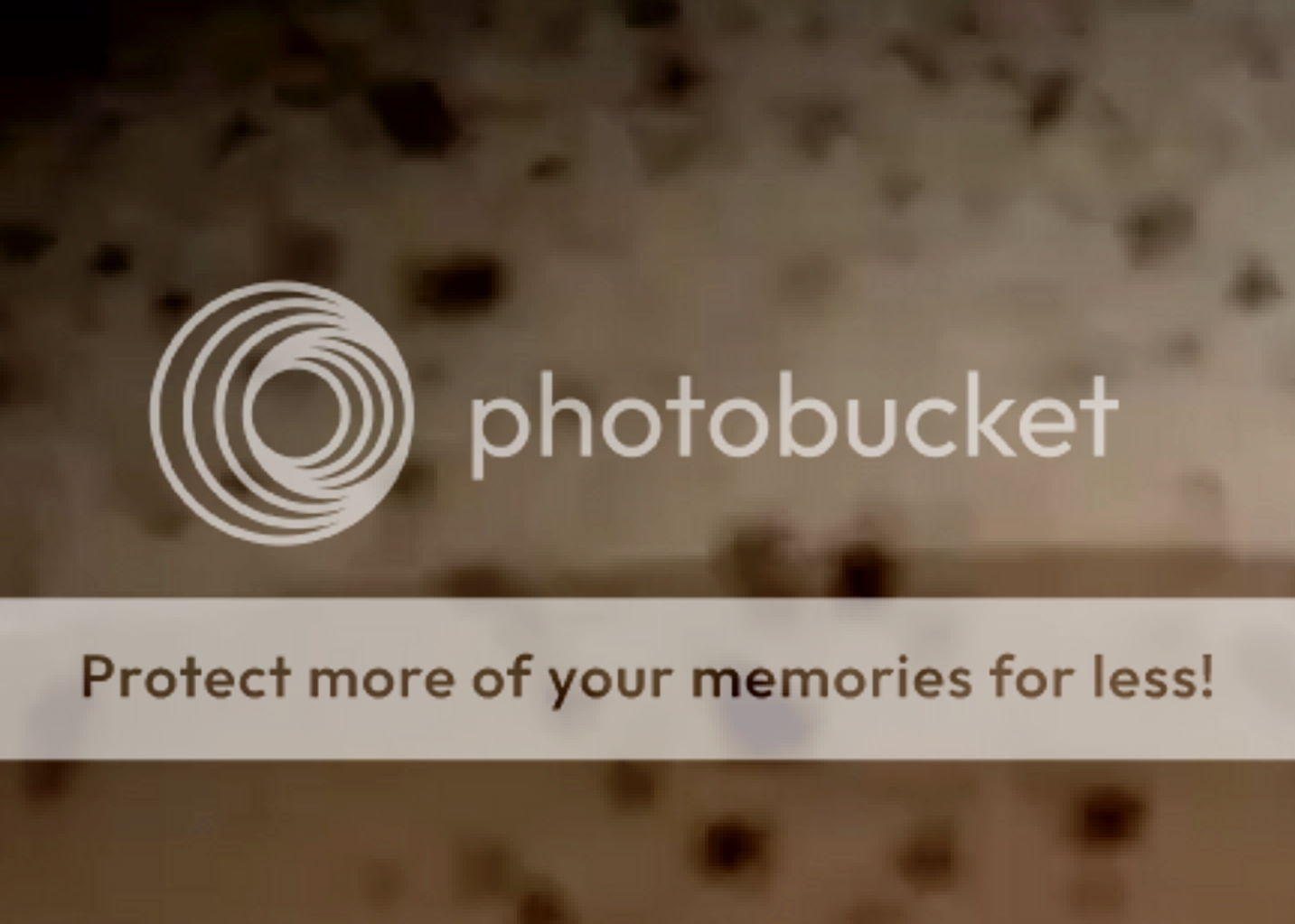 1364f972-9be2-4779-9d26-3fafa4bea322-ori