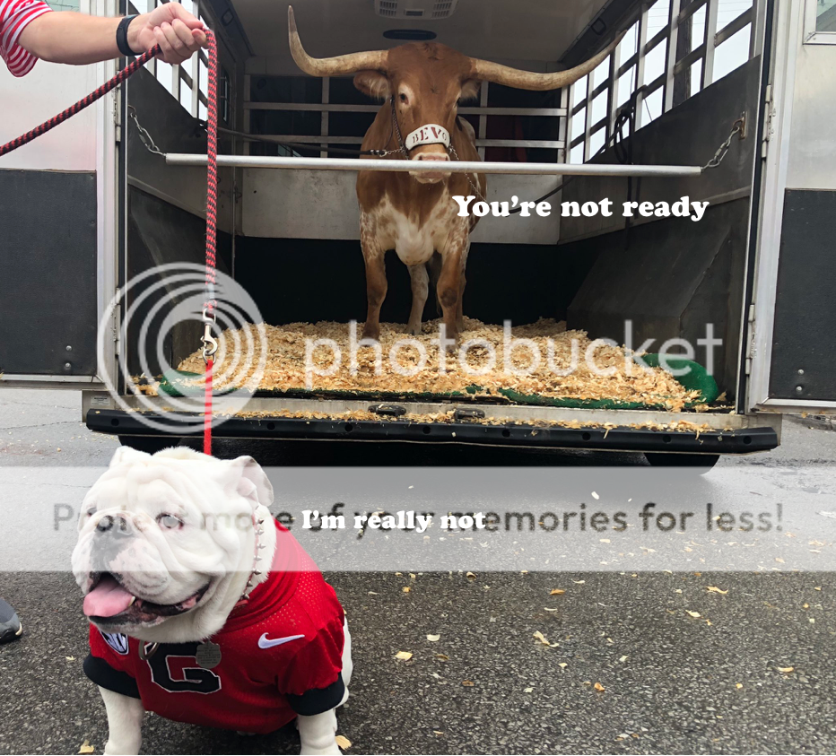 9d5567fb-7402-4d62-aca3-984a4d4f1589-ori