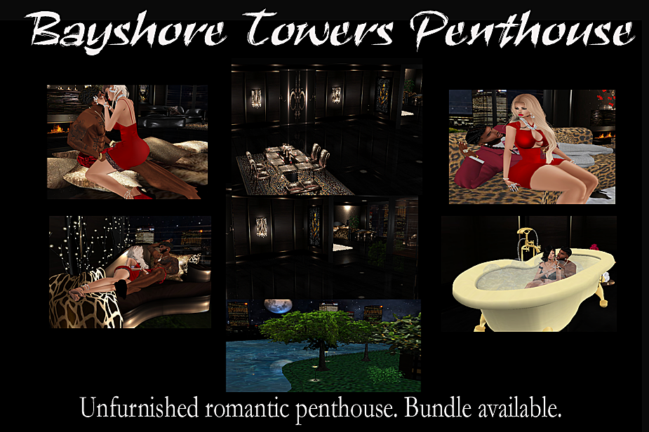 Bayshore Penthouse Advertisement Merged